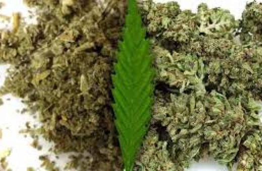 Synthetic Cannabinoids (Marijuana K2 Spice)